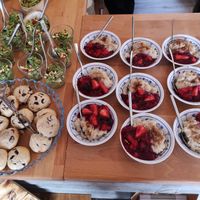 Milchreis mit roter Grütze, Cookies und Pesto Salat vom Eröffnungstag in Probiergrößen 😍 at tea and V in Sylt