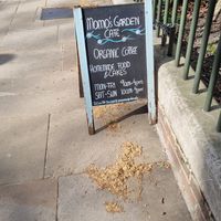  at Momo's Garden Café in London