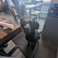  at Capplemans Restaurant in Pickering