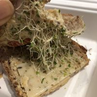 Vegan sprouts sandwich   at LAX - Urth Caffe - T1 in Los Angeles