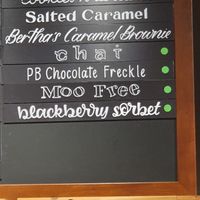 vegan flavors  at Whistlepunk Ice Cream Co in Leavenworth