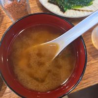 Miso soup #Veganuary at Niji Sushi Bar in Kingsford