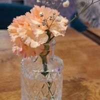  at Beezou in Dortmund