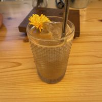 Iced latte w/ oat milk   at Nibs Healthy Bar in Menorca