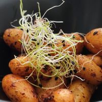 Potatoes at Bonnard in Paris