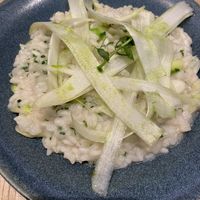 White asparagus risotto  at Bonnard in Paris