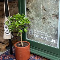 Spot the HappyCow decal!  at FLFL - Utrecht in Utrecht