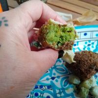  at FLFL - Carolieweg in Groningen