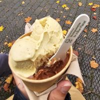  at Delphini's Gelato in Totnes