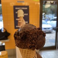 Fudge brownie vegan icecream   at Van Leeuwen in Houston