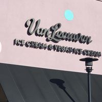 Love to see "Vegan" in that title! Heck yes! at Van Leeuwen in Houston