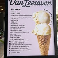   at Van Leeuwen in Houston