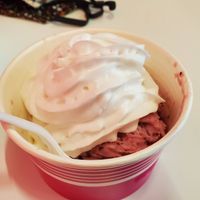Vegan ice cream cup w/whip at The Nutmeg Fudge Company in Torrington