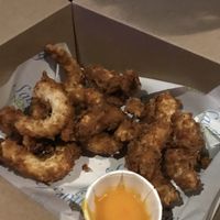   at Saving Nemo in Darlington