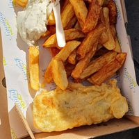  at Saving Nemo in Darlington