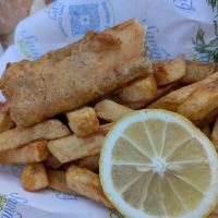  at Saving Nemo in Darlington