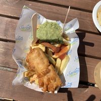   at Saving Nemo in Darlington