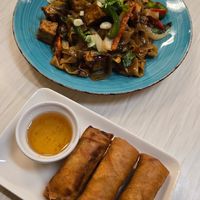 Drunken Noodles with Tofu & Springrolls at Thai Silk in Orlando