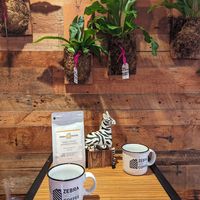 Merch at Zebra House Coffee in San Clemente