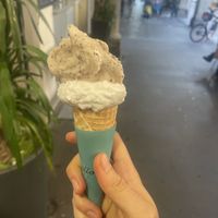   at Portogallo in Padua