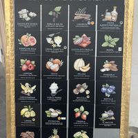   at Portogallo in Padua