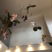   at Green Zebra Cafe - Main St in Sarasota