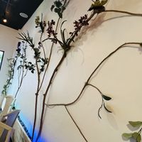   at Green Zebra Cafe - Main St in Sarasota