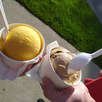 Vegan mango & dairy Republica coffee at Duke's Fine Ice Cream in Surrey