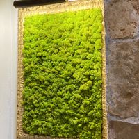   at Ca n'Ela Vegan Restaurant in Mallorca