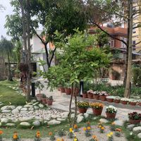   at Nourish by Avata in Kathmandu