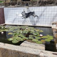 Quinta at Quinta de São Bernardo in Mesao Frio