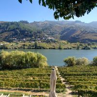 The view at Quinta de São Bernardo in Mesao Frio