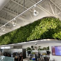   at Carrot Express in Boca Raton