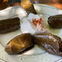 Vine leafs at Pheidias Grill House in Olympia