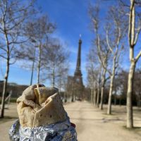 vegan burrito; enjoyed it in front of the eiffel tower  at Burritos Hermanos in Paris