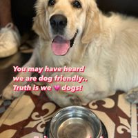  at Burritos Hermanos in Paris