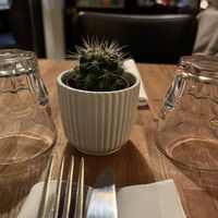 Nice decor   at Burritos Hermanos in Paris