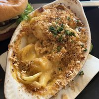 Best mac and cheese I’ve ever had in my five years of being vegan   at Root and Press in Worcester