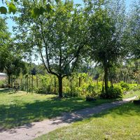 The view over the allotment garden. at De Ommuurde Tuin in Renkum