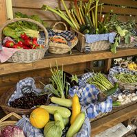   at De Ommuurde Tuin in Renkum