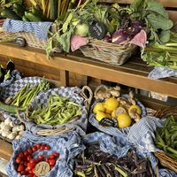   at De Ommuurde Tuin in Renkum