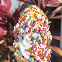 Vanilla Almond Milk soft serve at Brendy's Yogurt & Ice Cream in Boca Raton