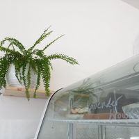 Lavender Brownies from Herbivore Kitchen at 269 Vegan in Dunfermline