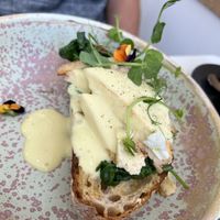 Florentine  at 269 Vegan in Dunfermline