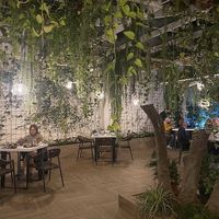   at Samadhi in San Jose