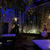   at Samadhi in San Jose