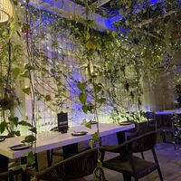   at Samadhi in San Jose