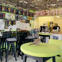 Interior  at Les Amis in Playa Del Carmen