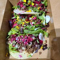 Street tacos at Casa Del Vegano in Dallas