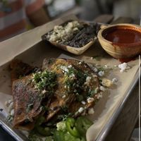  at Casa Del Vegano in Dallas